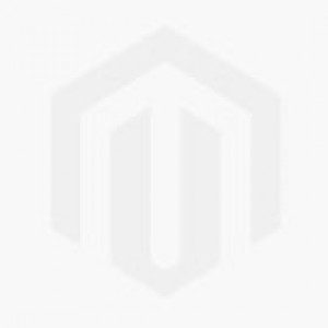 Fanvil X303W Entry Level Wi-Fi IP Phone